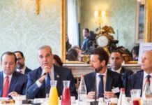 Luis Abinader capta interés de empresarios franceses para ampliar inversiones en RD